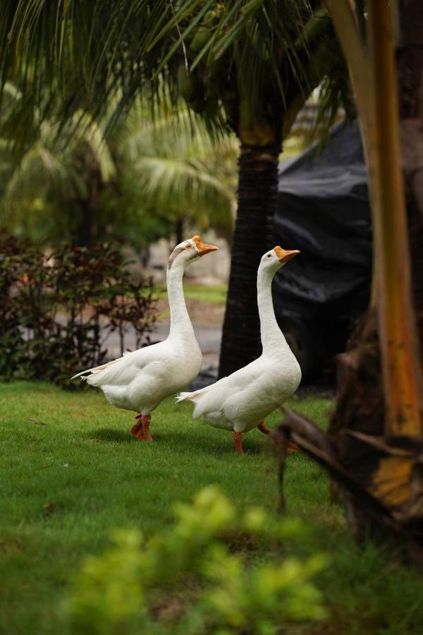 The Kerala Village, Shahapur Shenwa 外观 照片